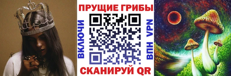 Псилоцибиновые грибы Magic Shrooms  shop Telegram  Новое Девяткино 